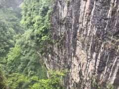 -鹿院坪生态旅游景区