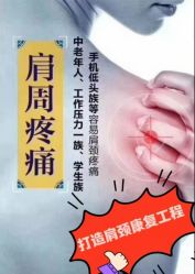 -香薇妮丝·定制减肥·身材管理