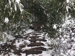 -星巴克(无锡百联奥特莱斯店)