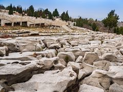 -原山国家森林公园