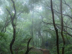 -南京市无想山景区