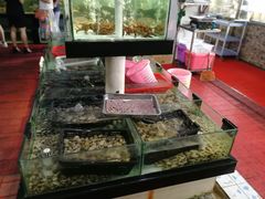 -天鹰观渔(梦园店)