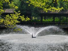 -东湖落雁景区