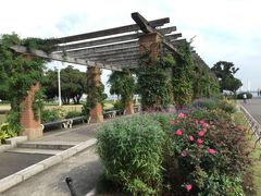 -台场海滨公园船码头