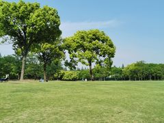 -上海滨江森林公园