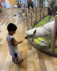 -七巧国萌宠乐园(龙湖天街店)