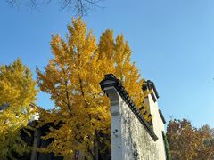 -惠山古镇·寄畅园