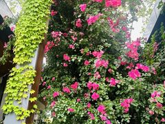 -昆山城市生态森林公园