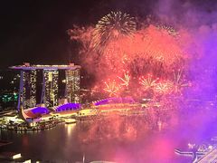 -新加坡瑞士史丹福酒店