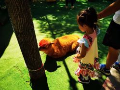 -萌宠亲子动物乐园(槐房万达店)