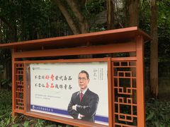 -火炉山森林公园