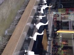 iphone_upload_pic-上海琉璃艺术博物馆