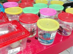 -大润发(东关世茂店)