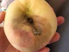 -美喇月子中心(南沙进港店)