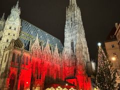 -斯蒂芬主教座堂(Stephansdom)