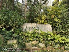 -成都市活水公园