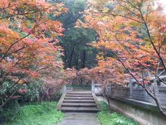 -灵谷景区