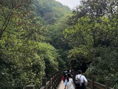 -凤栖山