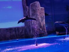 -华夏文旅海洋公园