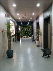 点击看大图 -北京炫美医疗美容