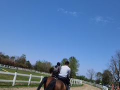 -杭州湾海上花田景区