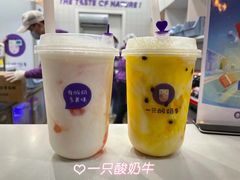 -一只酸奶牛(八一路店)