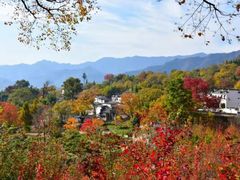 -塔川景区
