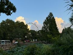 -上海野生动物园