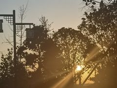 -唐城墙遗址公园