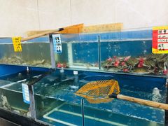 -渔民船说·北塘海鲜·天津菜·海肠捞饭(北塘古镇店)