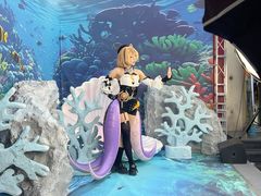 -星光摄影器材城