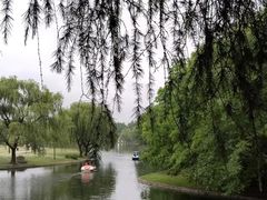 -上海共青森林公园