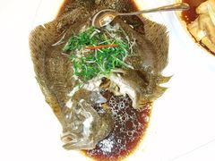 -大柴·宴宾楼(芥园西道店)