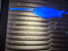 -白鹤梁水下博物馆