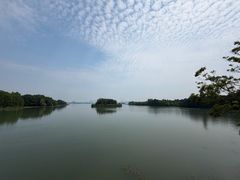 -长广溪湿地公园