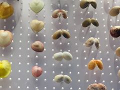 -贝林大翅鲸简餐厅(国家海洋博物馆店)