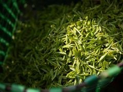 -潮中人·潮州菜(益乐路店)