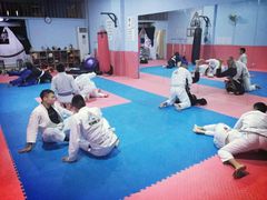 -金翼跆拳道巴西柔术拳击格斗学院