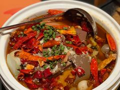 -羽鸽集·乳鸽专门店·地道顺德菜(岭南站店)