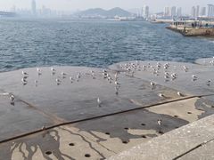 -星海广场