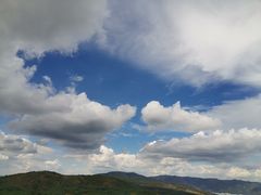 -长虫山生态公园风景林