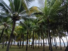 -三亚南山文化旅游区