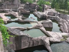 -蛇蟠岛