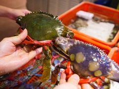 -巽寮印象美食部落餐厅·海鲜·地方特色菜(惠州体验店)