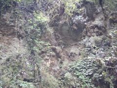 -怀托摩萤火虫洞