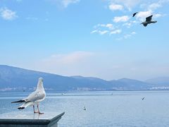 -海埂大坝