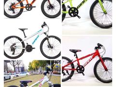 -GIANT捷安特自行车专卖店(金桥台儿庄路店)