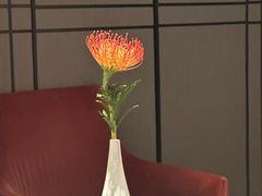 -玥轩YUE HIN(IFS国际金融中心店)