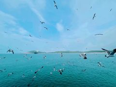 -海驴岛(荣成市)