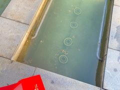 -三江森林温泉度假区